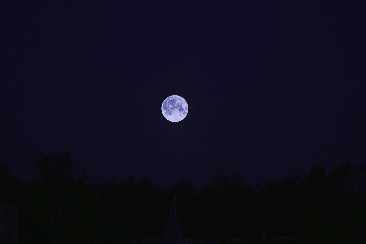 Luna piena nel cielo notturno sopra un paesaggio alberato